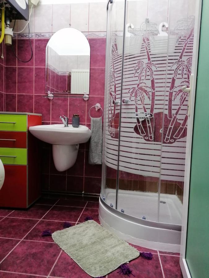 Apartament Josefin Διαμέρισμα Τιμισοάρα Εξωτερικό φωτογραφία